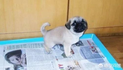 20221109205940_21173