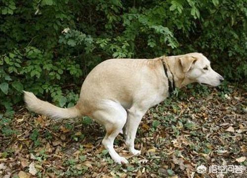 20221109205941_47961