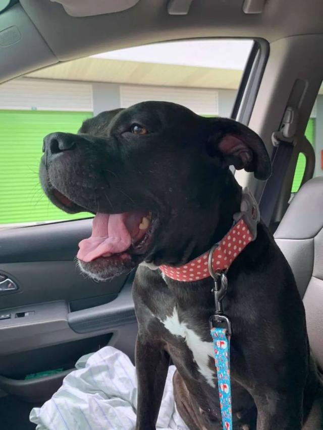 20221109212333_62891 20221109212333_62891