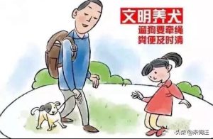 灵缇犬喜欢乱跑萌宠-警犬训练器材厂家 _警犬训练用品_工作犬训练用品-南京开久警犬装备