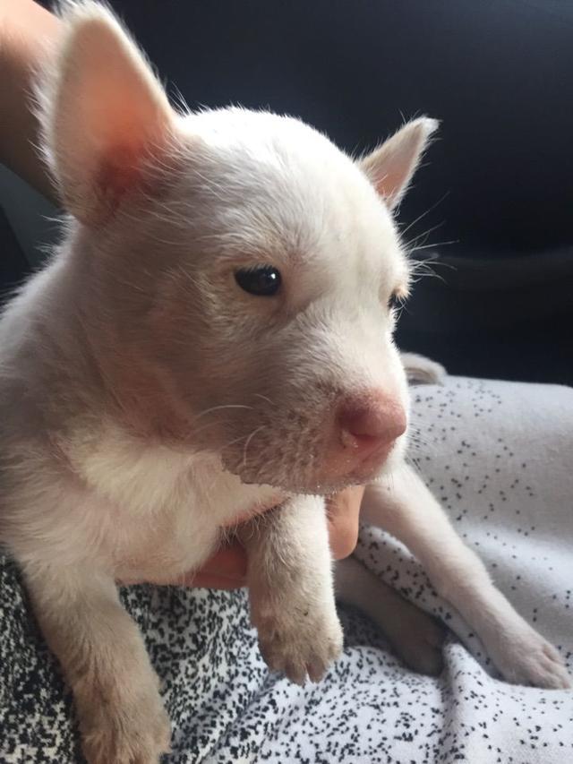 20221109224413_54977 20221109224413_54977