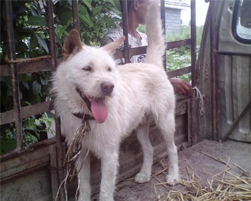 20221109224413_75864 20221109224413_75864