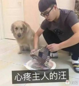 不想养狗了实在太累(实在不想养狗了怎么办)-警犬训练器材厂家 _警犬训练用品_工作犬训练用品-南京开久警犬装备