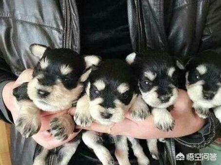 20221109230927_66545 20221109230927_66545