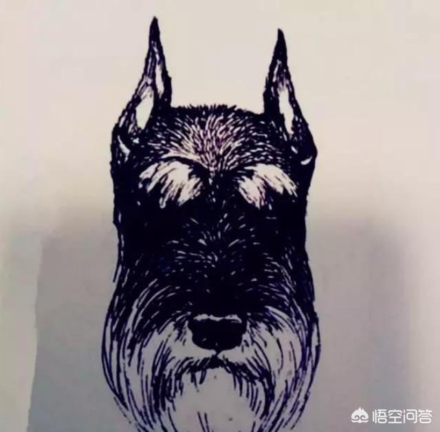 20221109230927_76116 20221109230927_76116