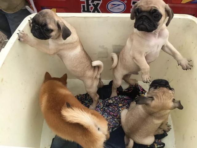 20221109231200_88443 20221109231200_88443