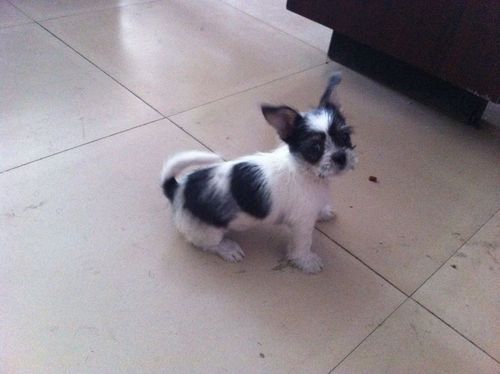 20221109233526_57263