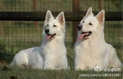 20221109234535_88752