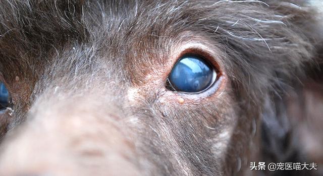 20221110001020_78463