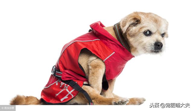 20221110001021_16955