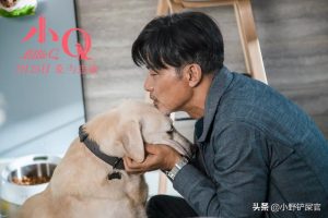 爱与狗同行-警犬训练器材厂家 _警犬训练用品_工作犬训练用品-南京开久警犬装备