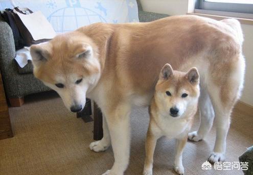 20221110005903_85052 20221110005903_85052