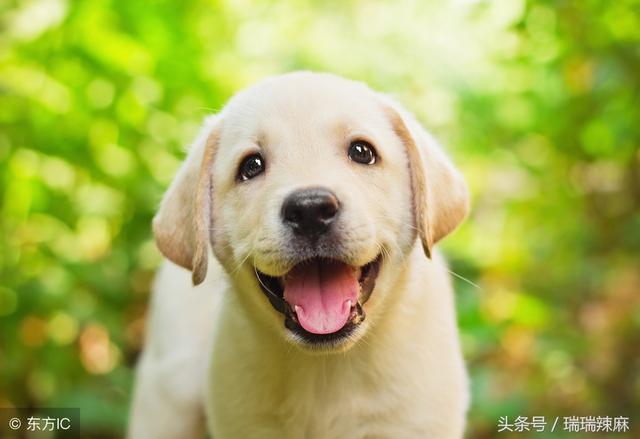 20221110011001_61600