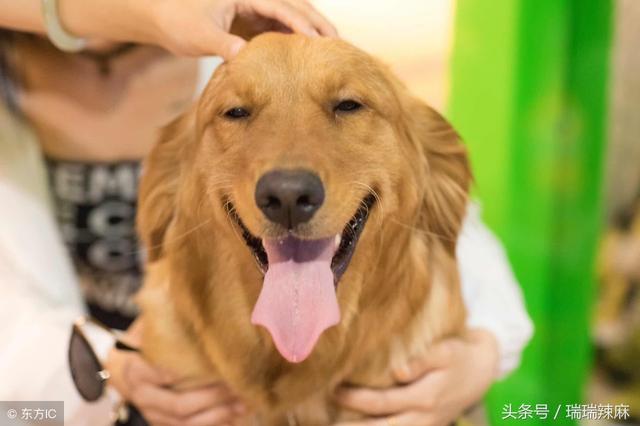 20221110011002_41686