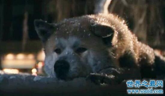 20221110012835_55442 20221110012835_55442