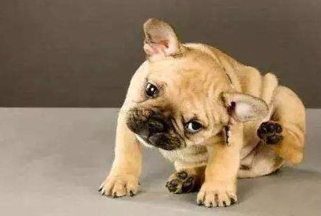 20221110012924_67696 20221110012924_67696