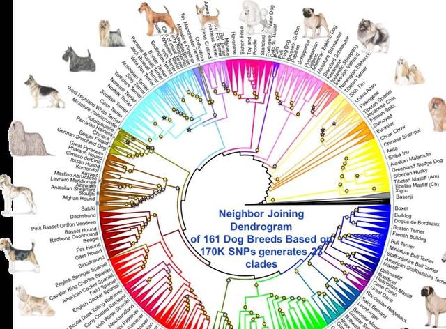 20221110014102_63420