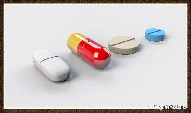 20221110014235_31029 20221110014235_31029