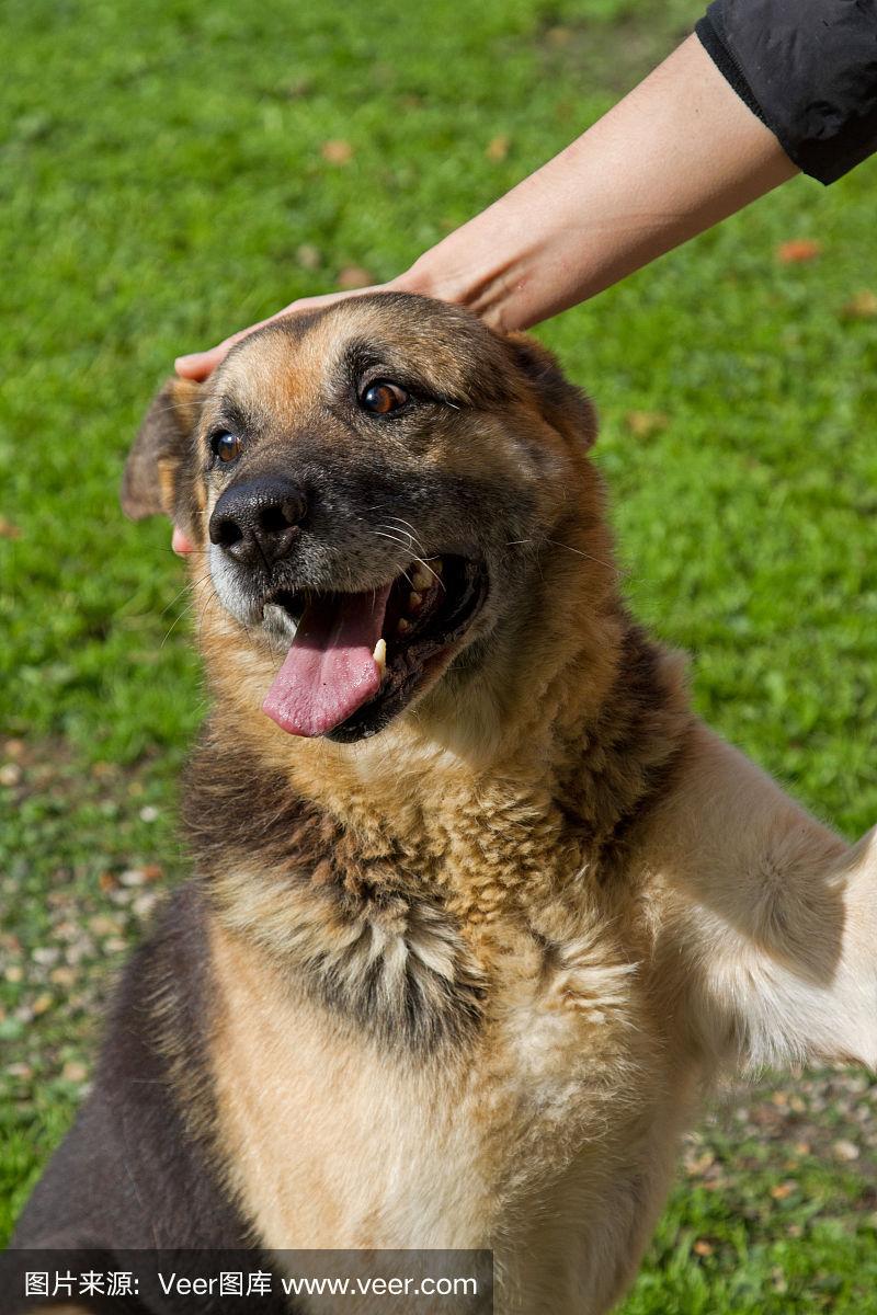 20221110014526_91757 20221110014526_91757