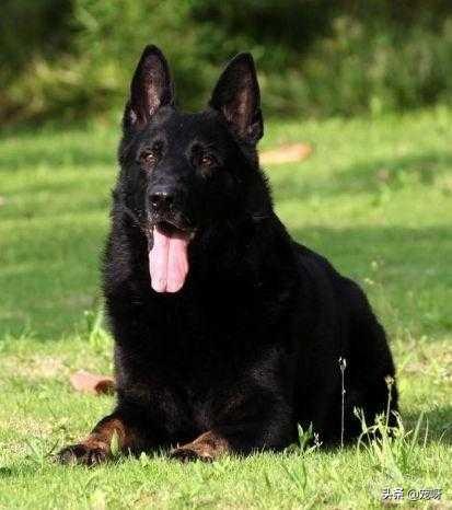 20221110015438_52862