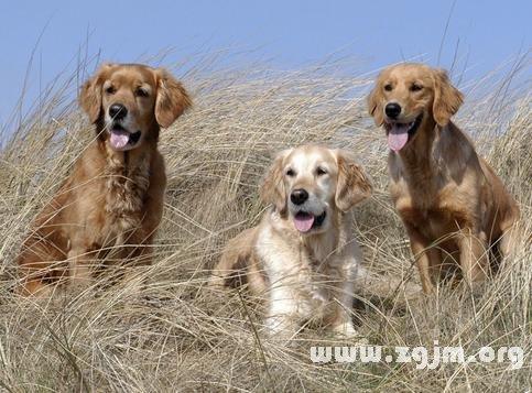 20221110015740_21044