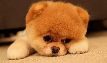 20221110015740_28160