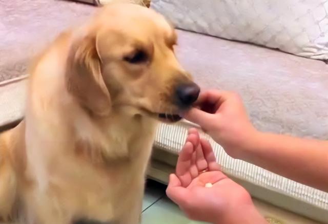 20221110020228_61700