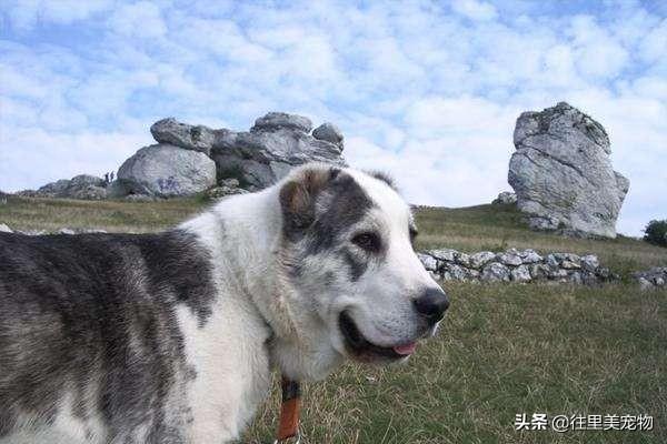 20221110085427_81870 20221110085427_81870