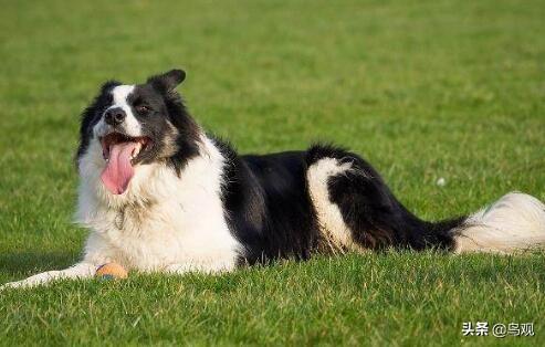 20221110090213_64314