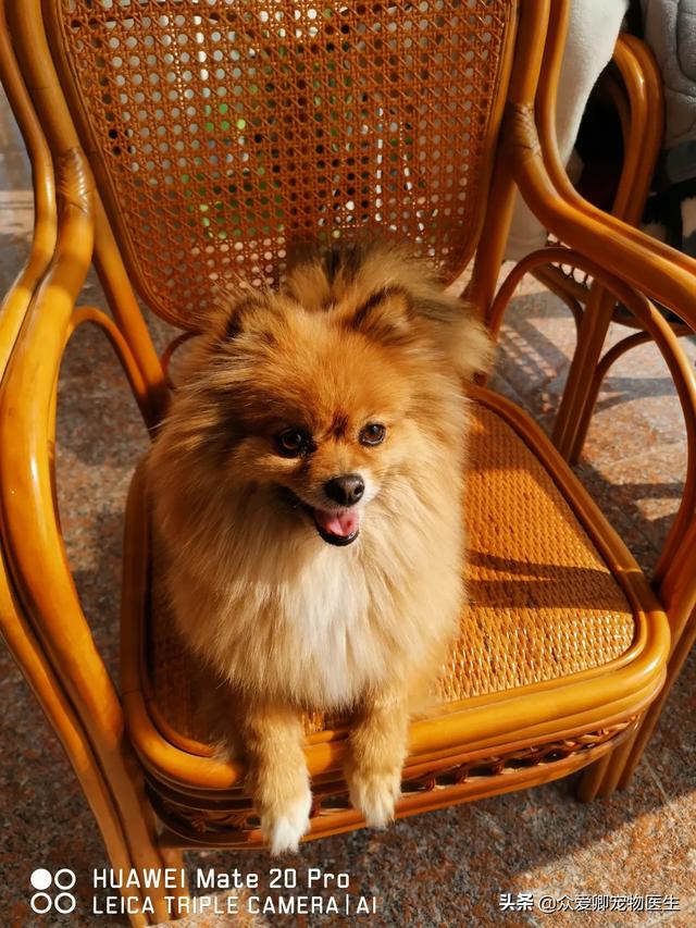 20221110090321_26921