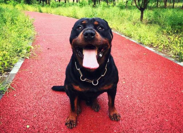 20221110090422_23001