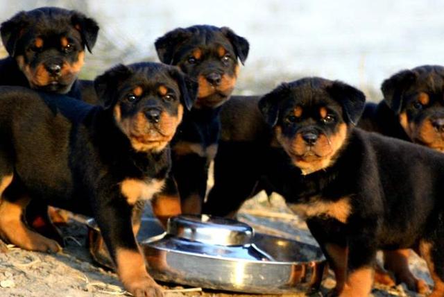 20221110090422_73739