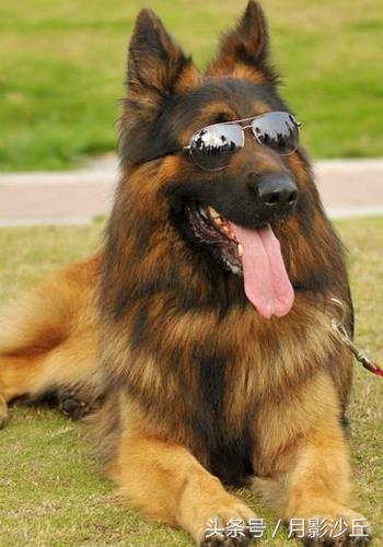 20221110100439_32192