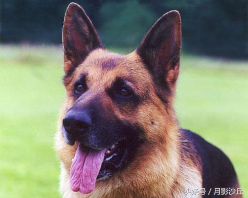 20221110100439_87733