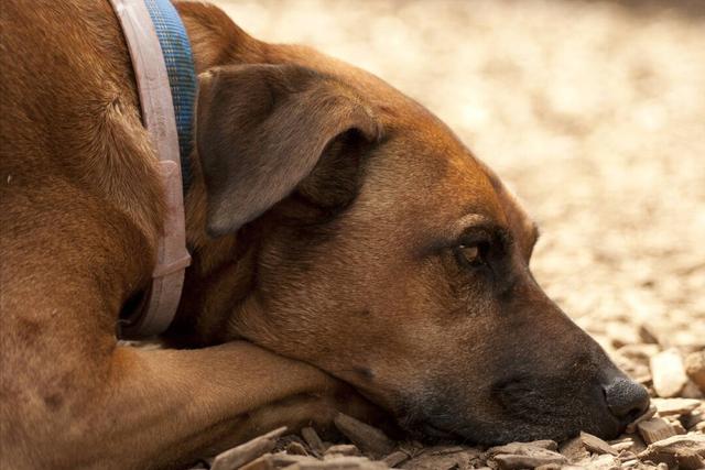 20221110102230_72860 20221110102230_72860