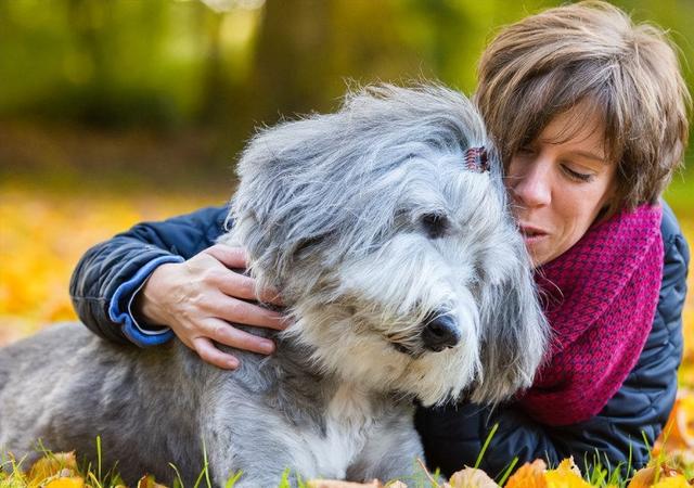 20221110102230_94908 20221110102230_94908