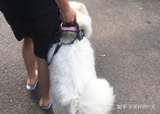 20221110102446_57719