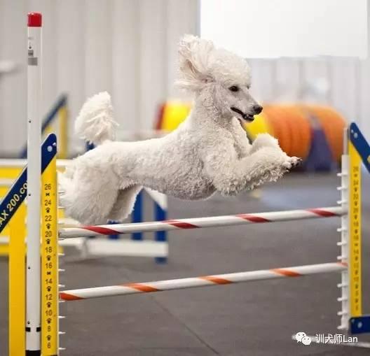 20221110104232_42179