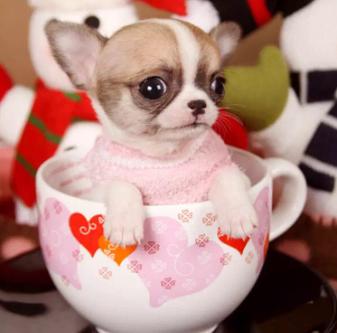 20221110105750_85941