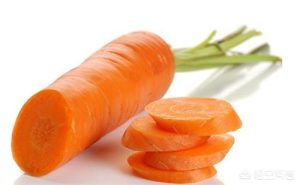 金毛狗狗吃什么对毛发好(金毛狗狗毛发什么时候长到最好)-警犬训练器材厂家 _警犬训练用品_工作犬训练用品-南京开久警犬装备