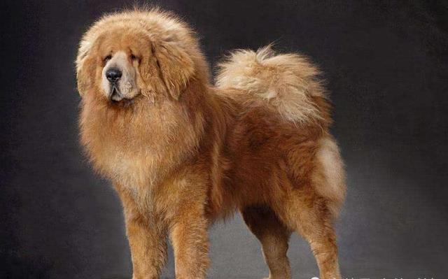 20221110111707_96453 20221110111707_96453