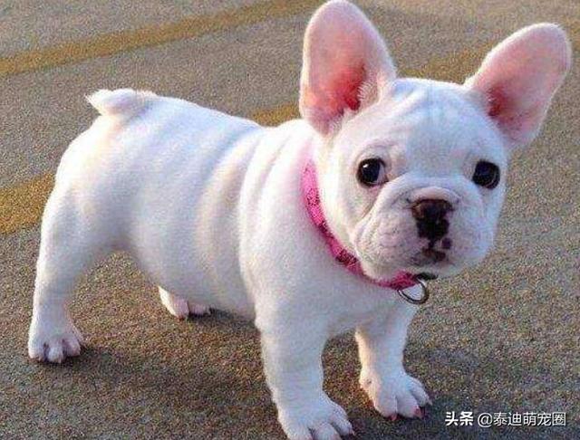 20221110111707_99036 20221110111707_99036