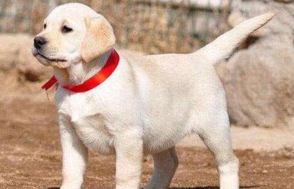 20221110111827_75603 20221110111827_75603