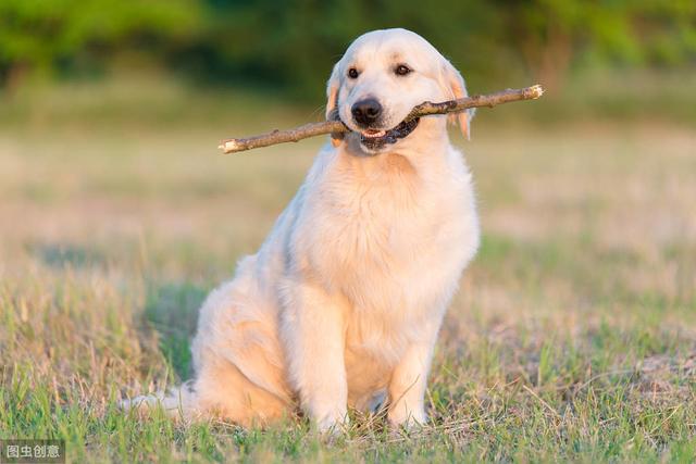 20221110111828_28013 20221110111828_28013