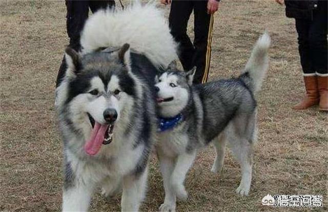 20221110111944_11725