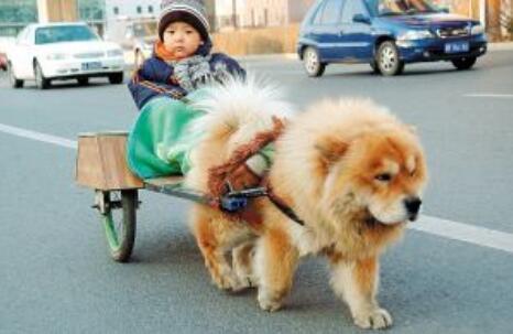 20221110112606_28382