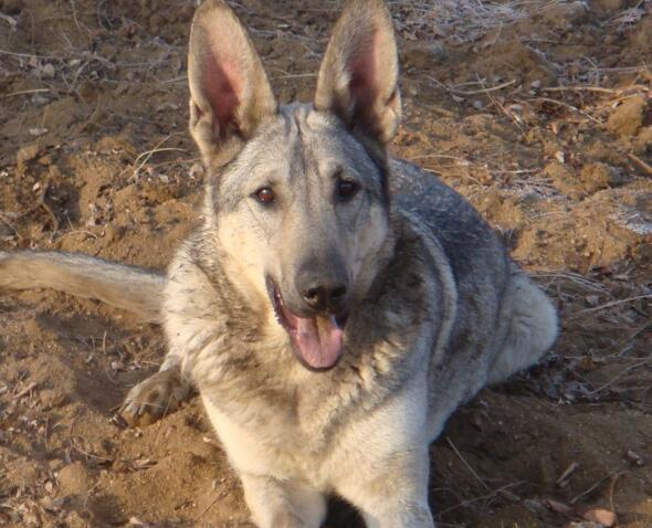 20221110112607_70023