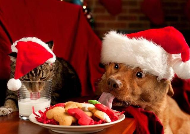 20221110112607_82762 20221110112607_82762