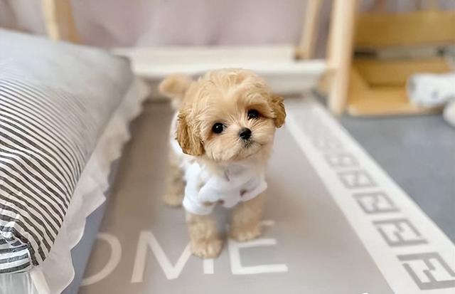 20221110121059_29753