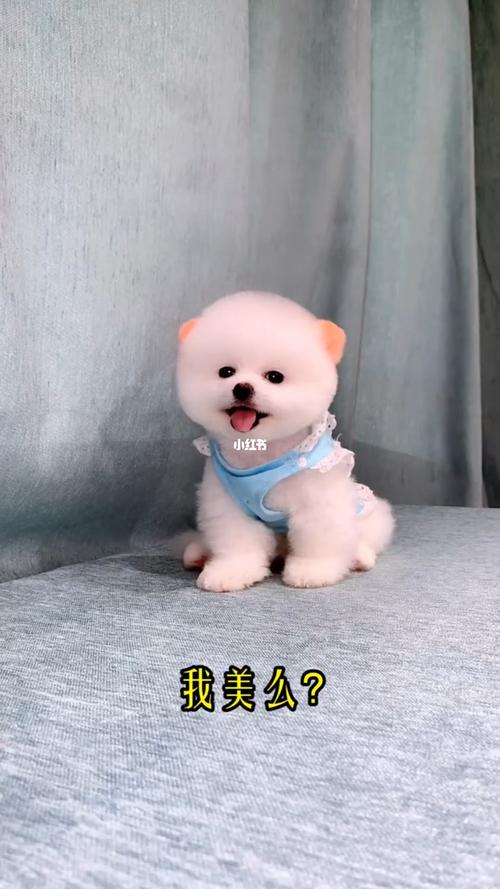 20221110121834_85223 20221110121834_85223